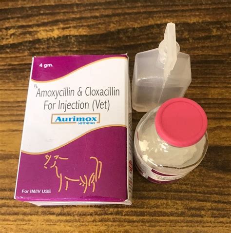 Amoxycillin Cloxacillin Injection 4 Gm Latest Price Manufacturers