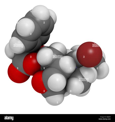 Butylhyoscine Butylscopolamine Metilo Dolor Abdominal Y Cólicos Menstruales La Estructura