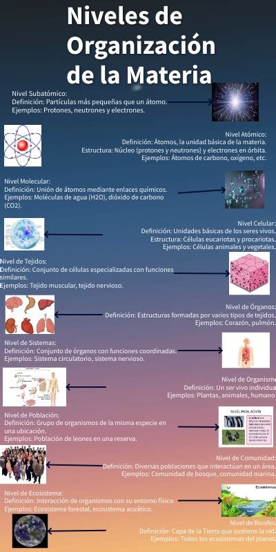 Niveles De Organizaci N De La Materia