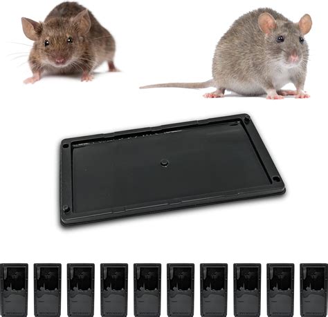 Wemk Pi Ge Souris Pi Ges Rats Plaques Collantes Souris Plaques