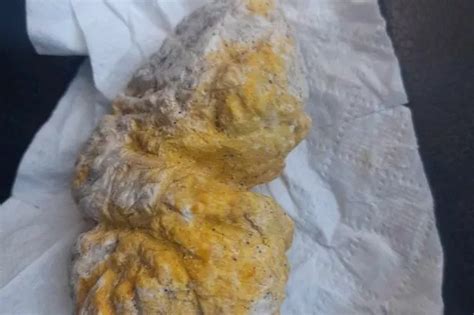Whale vomit found on Scots beach could be worth thousands - Daily Record