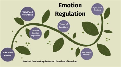Emotion Regulation Goals Of Emotion Regulation By Cheyene Powell On Prezi
