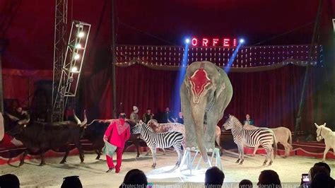 ESOTICO CIRCO GRECA ORFEI 2023 Circhi In Italia YouTube