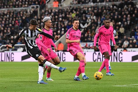 Fulham Y Newcastle Duelo Determinante En La FA CUP Wplay Co