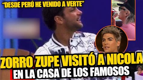 Zorro Zupe Llega A La Casa De Los Famosos Para Apoyar A Nicola