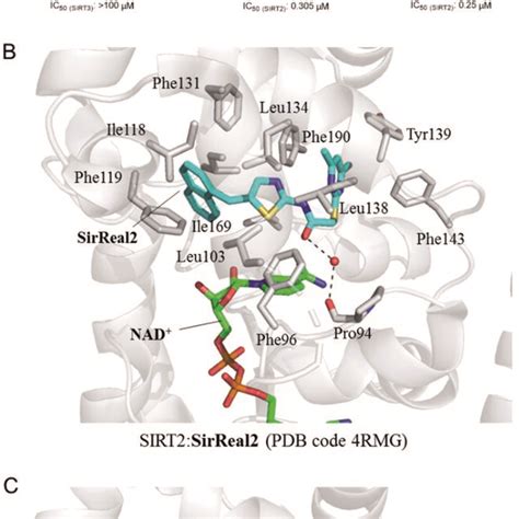 A Chemical Structures Of Sirreals Based Sirt Inhibitors And Their