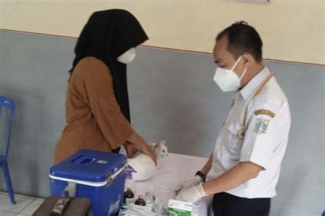 Enam Ribu Lebih Hewan Telah Divaksin Anti Rabies Di Jakarta Utara