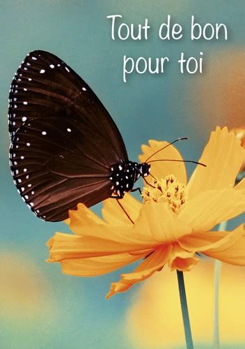 Tout De Bon Pour Toi Proverbe 23 18