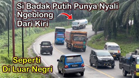 Si Badak Putih Punya Nyali Ngeblong Dari Kiri Seperti Di Luar Negri