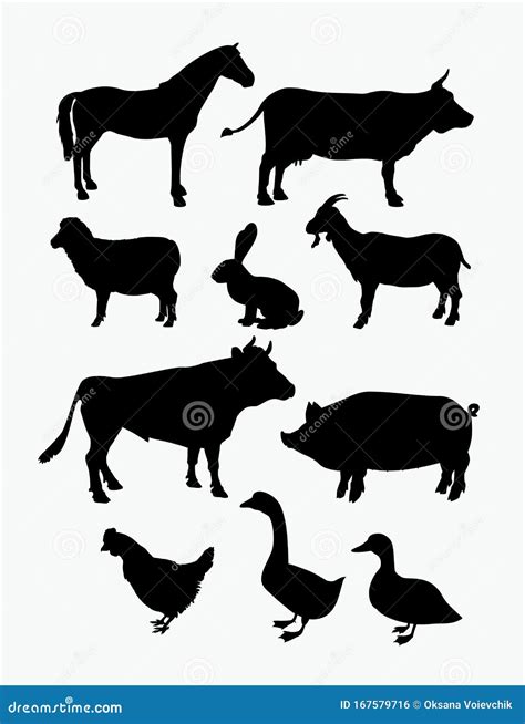 Farm Animal Silhouettes Vector Stock Vector Illustration Of Sheep