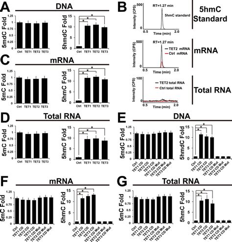 Overexpression Of Tets Significantly Increases Rna 5hmc In Human Hek293