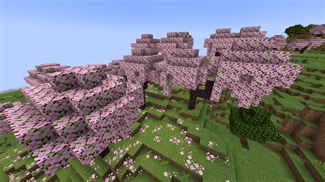 マイクラ1 20桜バイオームの特徴探し方サクラのブロッククラフト方法を紹介サクラの林 MINEBLOG