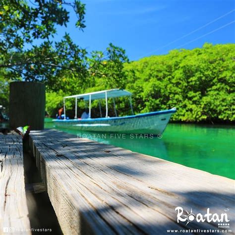 Roatan Five Stars Roatanfivestars Fotos Y V Deos De Instagram