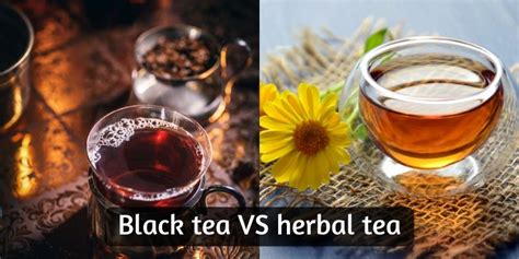 Black Tea Vs Herbal Tea 5 Differences Between Them