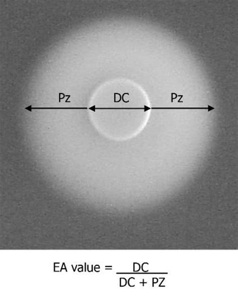 Illustrative Image Of The Formation Of A Halo Measured By The Division