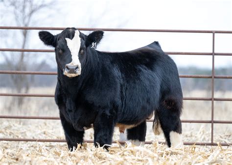 About Us – Focus Marketing Group