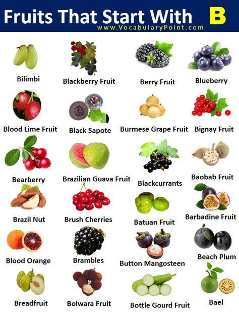 Fruits Starting With B Properties And Pictures Vocabulary Point