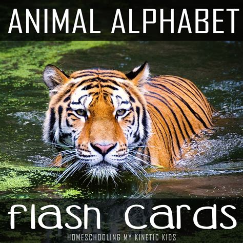 Alpha Zoo Phonics Chart