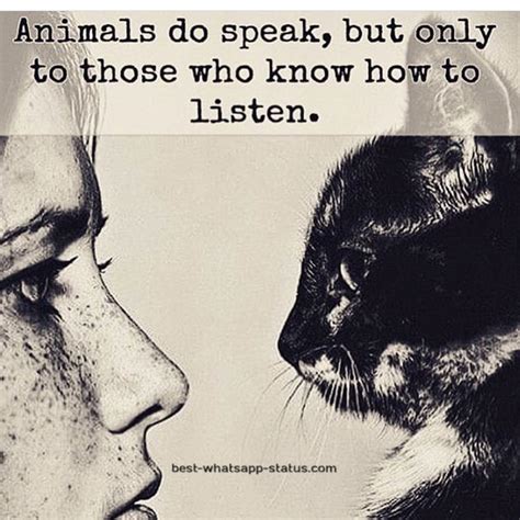 [50]+ Best Animal Lover Quotes That touch your Heart [Status for Animals]