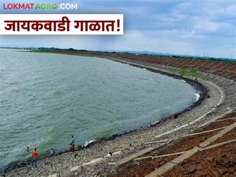 Jayakwadi Damजायकवाडी गाळात साठवण क्षमता १०२ वरून ८७ टीएमसीवर