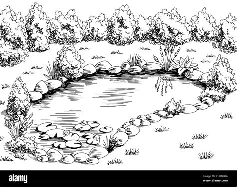 Pond Graphic Black White Landscape Sketch Illustration Vector Stock