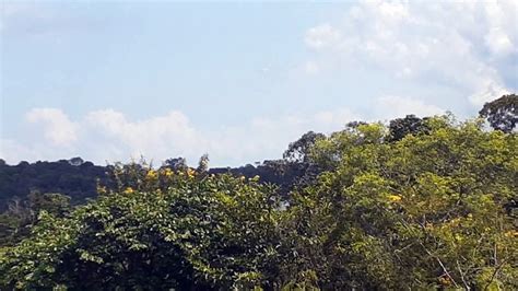 Sbeg Spotting Boeing Pr Guy Na Final Antes De Pousar Em Manaus