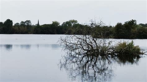 VIEWS FROM THE BANKS OF THE RIVER TRENT YouTube