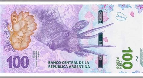 Comienza A Circular El Nuevo Billete De 100 Pesos Cita Directa