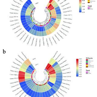 The Expression Pattern Of Differentially Expressed Transcription