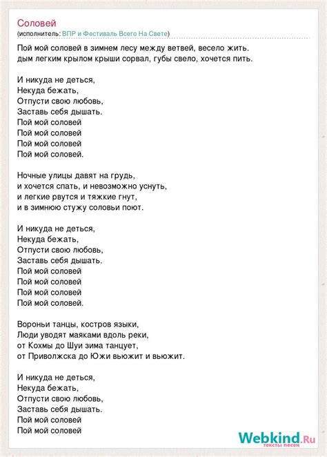 Текст песни Соловей, слова песни