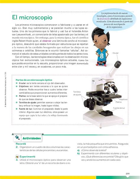 Ficha De Actividad Partes Del Microscopio Teacher Made Sexiz Pix Porn