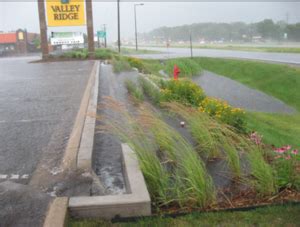 Assessing The Performance Of Wet Swale Wetland Channel Minnesota