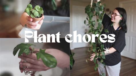 Let S Do Some Plant Chores Plant Chores Vlog YouTube