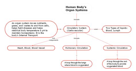 Biology Concept Map Complete Guide with 30+ Examples | EdrawMind