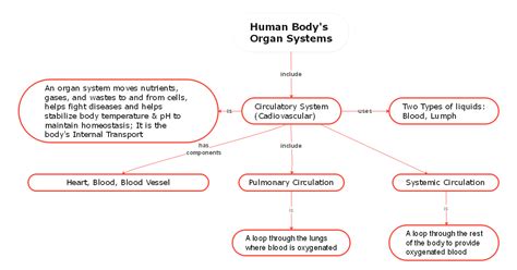 Biology Concept Map Complete Guide With Examples Edrawmind 52896 Hot Sex Picture