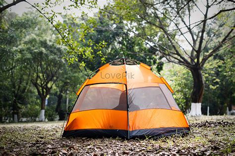 Tent Camping In The Woods