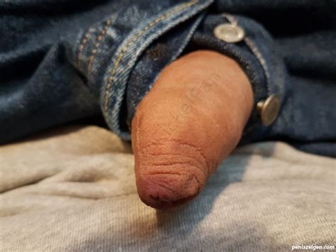 Er Guckt Aus Der Hose Kostenlose Penis Bilder Und Schwanzfotos