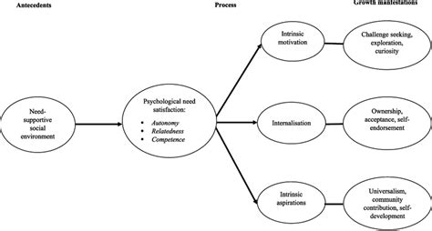 Graphic Overview Of Growth Model Of Self Determination Theory [1 57] Download Scientific Diagram