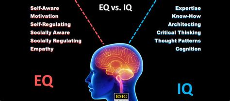 EQ Vs IQ