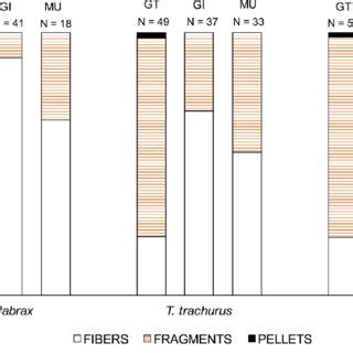 Percentage Of Microplastics Found In Dicentrarchus Labrax Trachurus