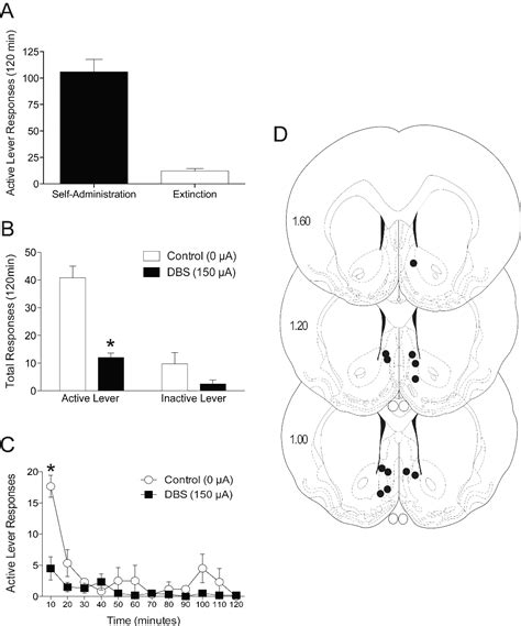 Figure 1 From Deep Brain Stimulation Of The Nucleus Accumbens Shell