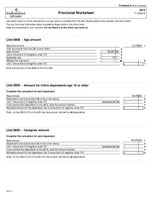 Fillable Online D T General Provincial Worksheet