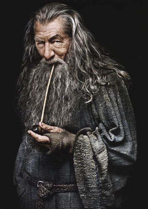 Gandalf The Grey Lord Of The Rings Gandalf The Grey The Hobbit