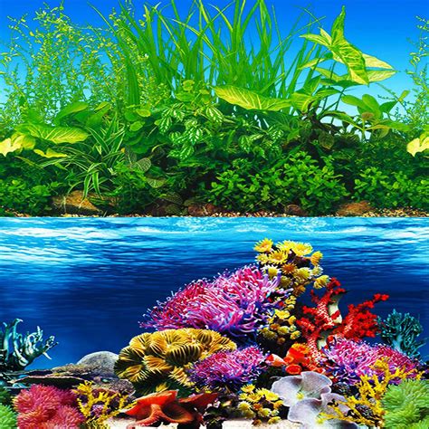 Amazon.com : ELEBOX New 23" x 71" Fish Tank Background Paper Wallpaper ...