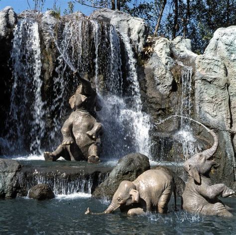 Elephants In Bathing Pool Jungle Cruise Walt Disney World Pana Vue