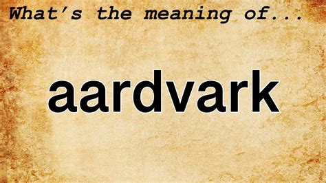 Aardvark Meaning Definition Of Aardvark Youtube