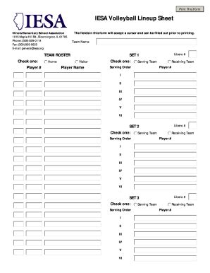 Volleyball Lineup Fill Online Printable Fillable Blank Pdffiller