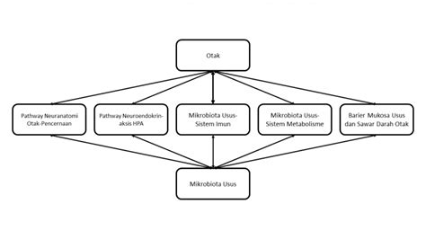 The Gut Microbiota Brain Axis Hubungan Timbal Balik Otak Dan