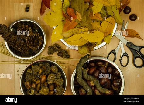 preparation form autumn craftsmanship decorations Stock Photo - Alamy