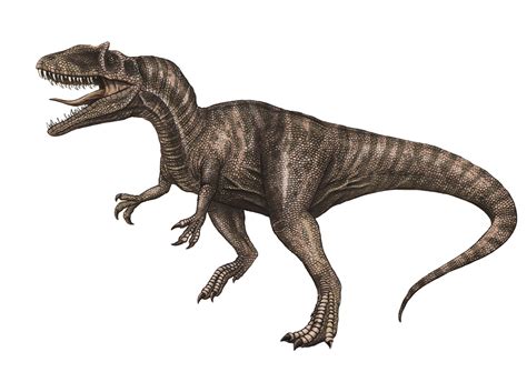Terópodos | Dinosaurios de la Ruta de las Icnitas en las Tierras Altas ...